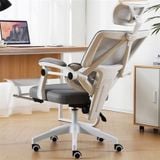  Ghế Công Thái Học NL899 