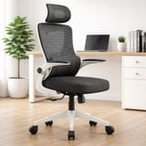  Ghế Công Thái Học NL418 