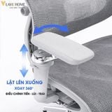  Ghế Công Thái Học NL905 