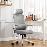  Ghế Công Thái Học NL418 