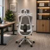  Ghế Công Thái Học NL919 