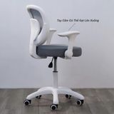  Ghế Học Sinh VS11X 