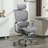  Ghế Công Thái Học NL816-5 Lưới Cao Cấp Có Massage Chống Đau Lưng 