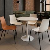  Ghế Nhựa AMELI11 - Giải Pháp Tiện Lợi Cho Không Gian Nội Thất 