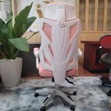  Ghế Công Thái Học NL302 