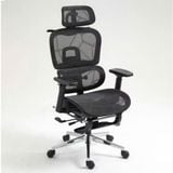  Ghế Công Thái Học NL900 