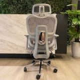  Ghế Công Thái Học NL900 