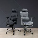  Ghế Công Thái Học NL900 