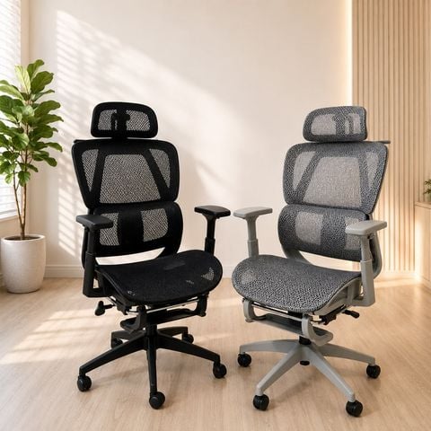  Ghế Công Thái Học NL919 