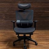  Ghế Công Thái Học NLE18 