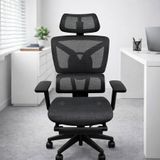  Ghế Công Thái Học Lưới TKN009 