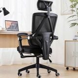  Ghế Công Thái Học NL899 