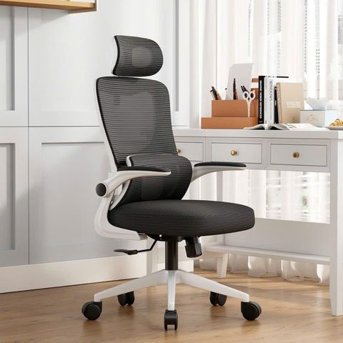  Ghế Công Thái Học NL418 