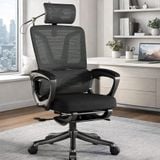  Ghế Công Thái Học NL006 