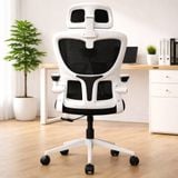  Ghế Công Thái Học NL418 