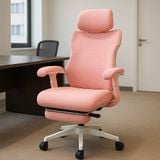  Ghế Công Thái Học NL302 