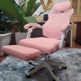  Ghế Công Thái Học NL302 