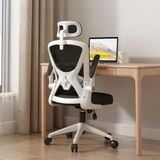  Ghế Văn Phòng NL699 