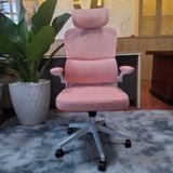  Ghế Công Thái Học NL889 