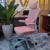  Ghế Công Thái Học NL889 