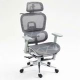  Ghế Công Thái Học NL900 