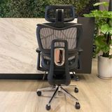  Ghế Công Thái Học NL900 