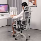  Ghế Công Thái Học NL900 