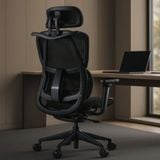  Ghế Công Thái Học NL919 