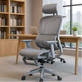  Ghế Công Thái Học NL919 