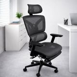  Ghế Công Thái Học Lưới TKN009 