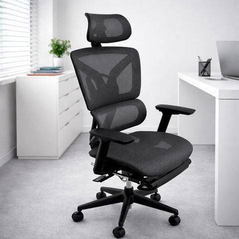  Ghế Công Thái Học Lưới TKN009 