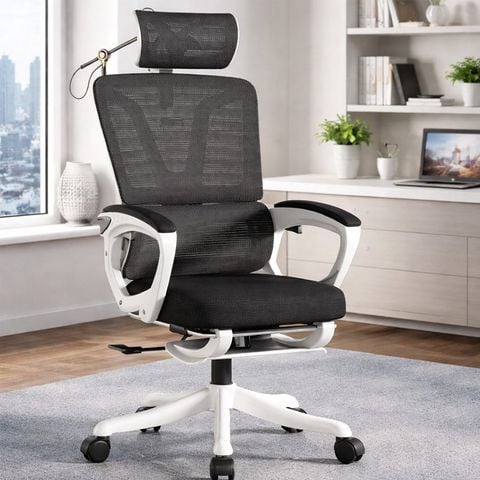  Ghế Công Thái Học NL006 