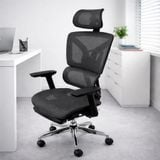  Ghế Công Thái Học Lưới TKN009 