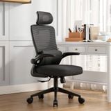  Ghế Công Thái Học NL418 