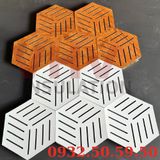  Tấm Gỗ Tiêu Âm Hình Lục Giác Có Họa Tiết, Trang Trí Cao Cấp, Decor Sang Trọng, SẴN KEO DÁN 