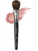  Cọ Trang Điểm Má Hồng Phấn Piccasso 108 Blusher 