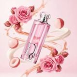  Nước Hoa Nữ Dior Addict EDP 30ML 
