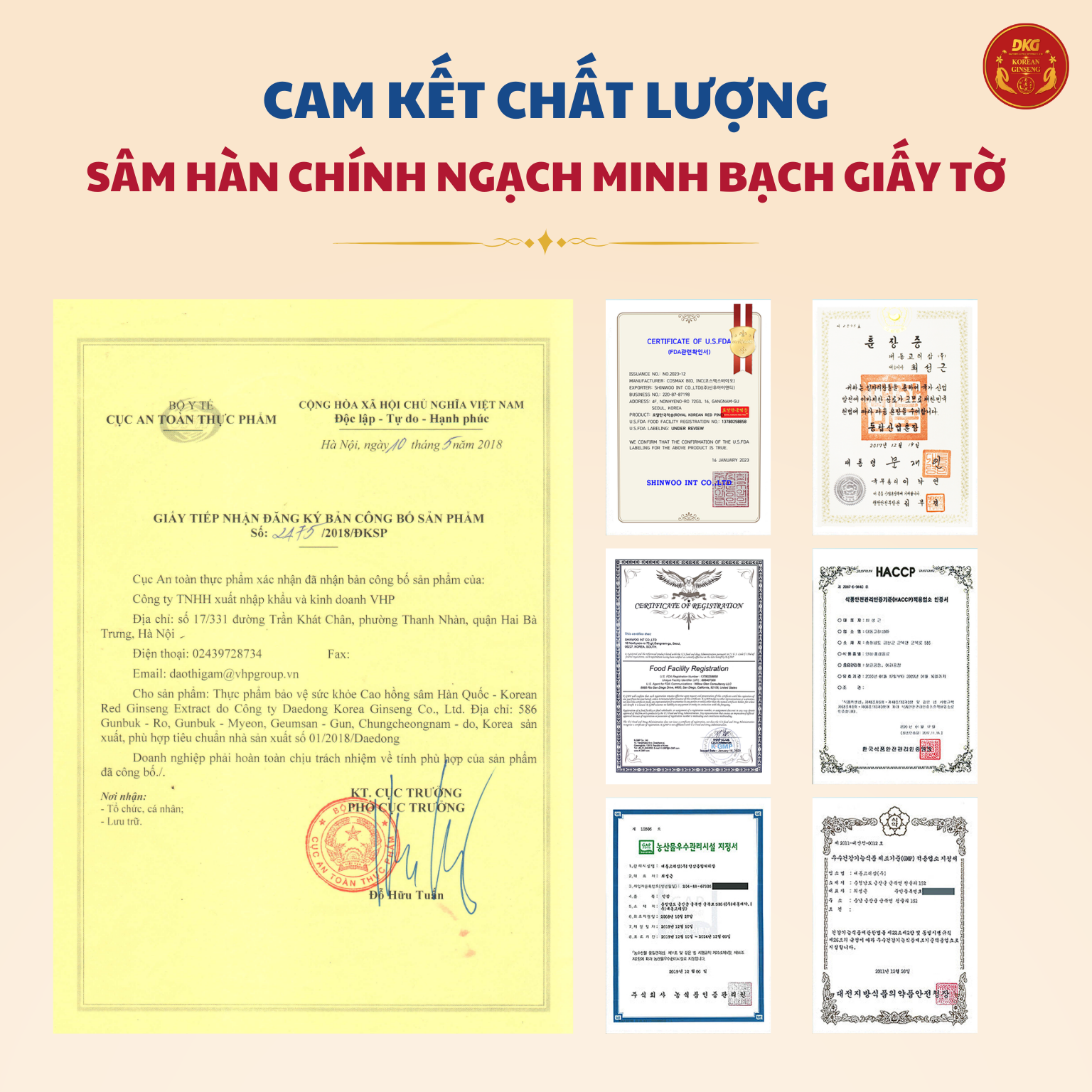 Cao hồng sâm Hàn Quốc 240g - 7mg/g (New) - Daedong 