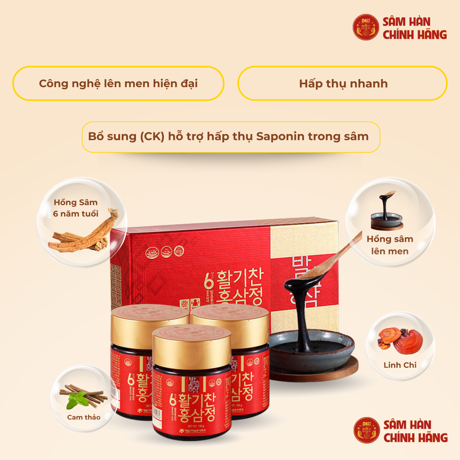  6 years fermented red ginseng extracts ( 100g x 3 lọ ) - Daedong 