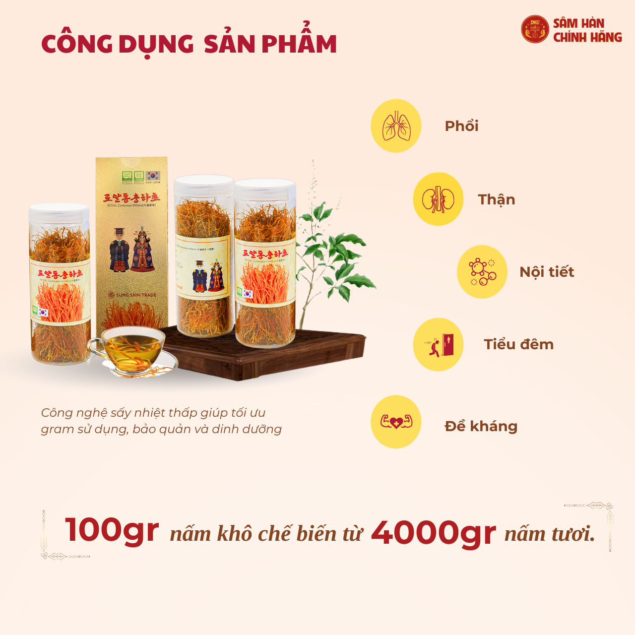  Đông trùng hạ thảo Militaris Hoàng Gia (100g/lọ) 