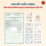  Hongsamjin Bichaek Hwanghu Korean Red Ginseng Extract (120ml x 20 túi) - Daedong 