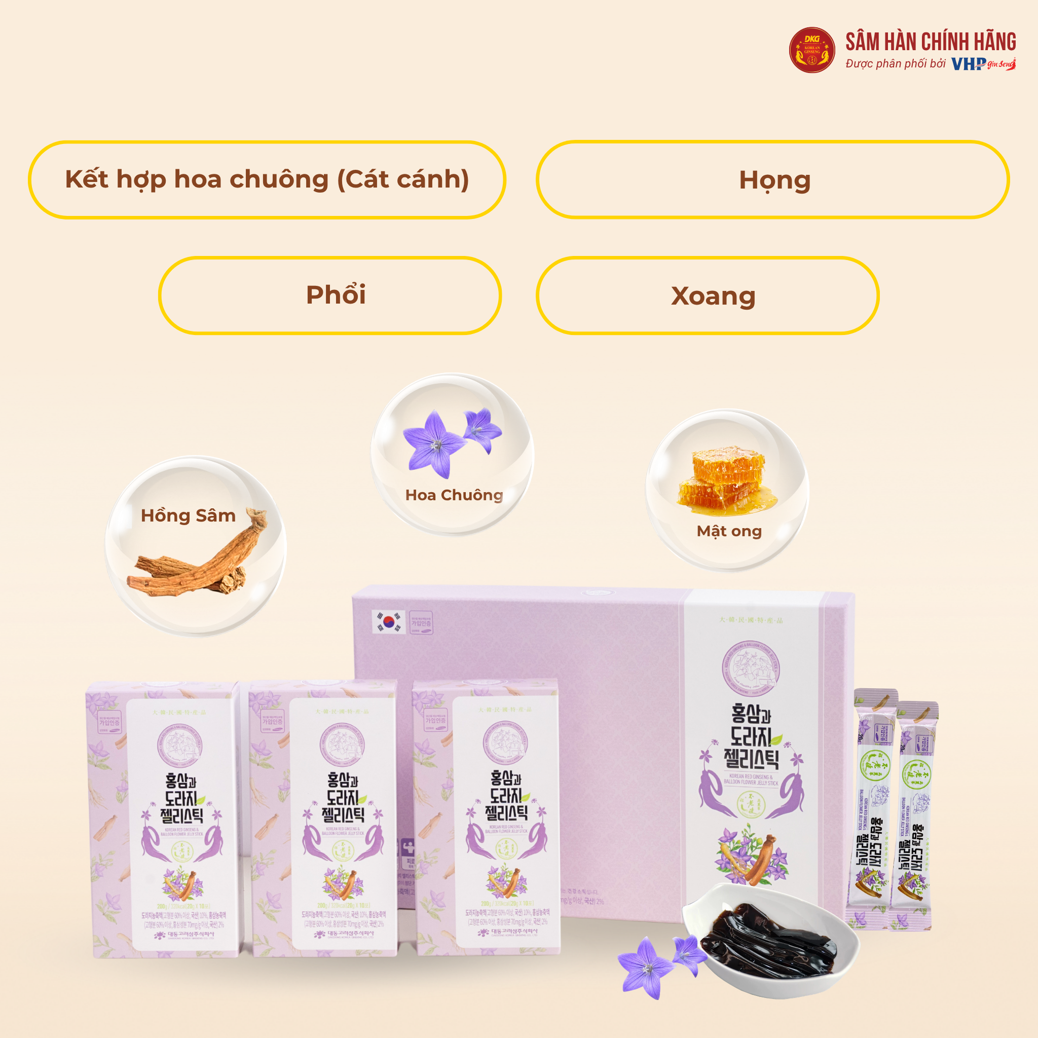  Hồng sâm Hoa chuông Daedong (20g x 30 stick dạng thạch) 