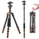 Chân máy ảnh sợi carbon K&F Concept BA225 (KF09.077V3)