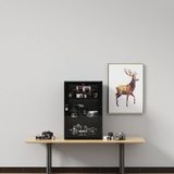 Tủ chống ẩm cao cấp Lenthem DT-250D, Đèn Led, Chính hãng, Có CO/CQ