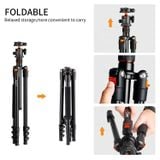 Chân máy ảnh kim loại di động K&F Concept KF09.080V1 (K234A1+BH-28L)