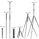 Chân máy ảnh trên cao bằng nhôm K&F Concept KF09.086V2