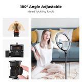 Chân máy để bàn K&F Concept KF09.143 MS-24