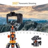 Chân máy ảnh K&F Concept KF09.090V1 (T254A4+BH-28L)