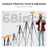 Chân máy ảnh Tripod K&F Concept S254A3+BV01 (KF09.154)