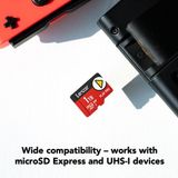 Thẻ nhớ Lexar PLAY PRO microSDXC Express 1TB